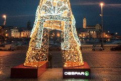 A Trani Piazza Quercia si illumina con “Despar”