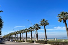 «Il lungomare Mennea di Barletta è una strada pericolosa, serve un intervento urgente»