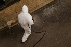 Interventi di derattizzazione e deblattizzazione a Barletta: il calendario