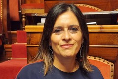 Carne equina, Nocco: «Fratelli d’Italia si oppone a una norma costruita sul divieto e sull’imposizione»