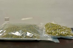 Nascondeva marijuana nel cofano dell'auto, arrestato barlettano