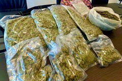 Scoperto deposito di marijuana in casa: arrestato 39enne di Barletta