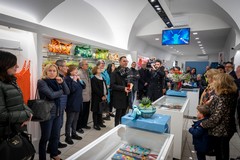 Marily, da sessant’anni al fianco dei suoi clienti: tradizione e innovazione