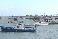 Eolico offshore e impatto occupazionale sulla pesca, preoccupazione della Flai Cgil Bat