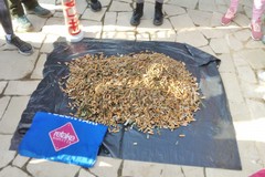 Parco dell'Umanità ripulito da circa 36mila mozziconi di sigaretta