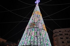 Si accende il Natale di Barletta con l'albero in Piazza Aldo Moro