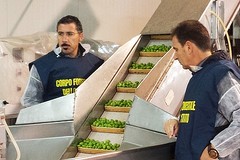 "Natale a tavola", sequestrate 27 tonnellate di cibo avariato