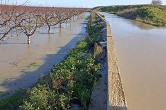 Il Parco del fiume Ofanto verso la trasformazione in Parco Nazionale