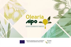 Attività formative Olearia AIPO, ecco come partecipare