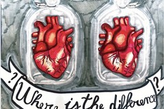 Campagna contro la violenza di genere: premiazione finale