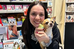 “Pappa e Cuccia”, Sabina Dagostino: «Adottare un animale è una scelta d’amore che cambia la vita»