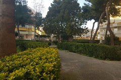 Giardini via Dante Alighieri, Cannito: «Dovere istituzionale intitolarli a Dicuonzo»