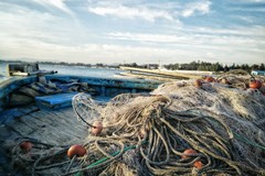 Legge di Bilancio 2024, arriva il sostegno ai pescatori pugliesi