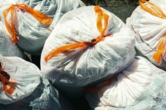 Sinergia per la raccolta di rifiuti abbandonati lungo la SS16 a Barletta