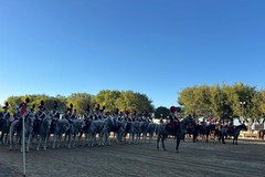 Tra storia e rievocazione: grande successo a Barletta per il Carosello storico dell’Arma dei Carabinieri