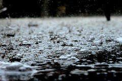 Meteo inclemente nell'autunno pugliese: a pagare è l'agricoltura