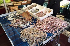 Controlli accurati sui prodotti ittici, in azione la Capitaneria di Barletta