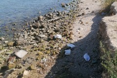 Il 24 novembre a Barletta appuntamento di pulizia ambientale con Plastic Free