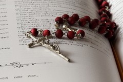 Giornata “Pro Orantibus”, anche da Barletta le monache di clausura in preghiera su zoom