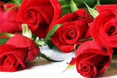 ​San Valentino 2016, due pugliesi su cinque regaleranno fiori