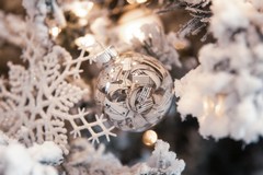 "Il dono di Luca", concerto benefico a favore della ricerca scientifica a Barletta