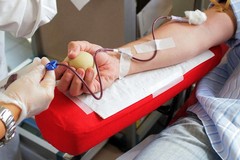 Emergenza sangue a Barletta: carenze per i gruppi 0+ e A+