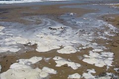 Schiuma bianca nel mare di Barletta, Legambiente: «Facciamo chiarezza»