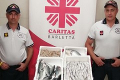 Quasi 70kg di pesce sequestrati nel porto di Barletta