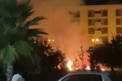 Incendio nella notte sul lungomare Mennea. Rogo nella pineta