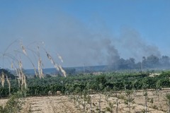 Barletta, nuovo incendio in zona Ariscianne
