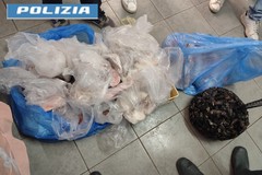 Sequestrati oltre 100 kg di pescato irregolare a Barletta e Andria