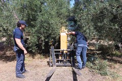 Sollevatore ritrovato a Barletta: era stato rubato ad Andria nei giorni precedenti