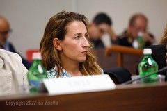 «Posizioni politiche divergenti», Anna Maria Riefolo si dimette da assessore