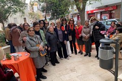 Abbellire e curare il giardino in via Pappalettere: l'impegno quotidiano dell'Andos di Barletta