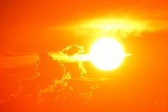 La Puglia si prepara ai 40°C nei prossimi giorni: c'è il rischio siccità