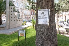 A Barletta telecamere in piazza Plebiscito contro il vandalismo
