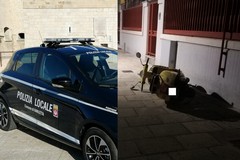 Furto di un motociclo sventato dalla Polizia locale in via Barbarisco