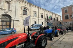 Protesta dei trattori, giovedì agricoltori in strada a Barletta