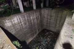 Gatto salvato da un vascone nell'ex distilleria di Barletta, «luogo molto pericoloso»