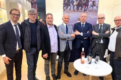 Vinitaly 2026: i prodotti barlettani alla fiera nazionale
