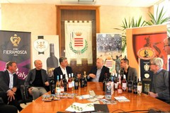 Vinitaly 2026, ci sarà anche Barletta