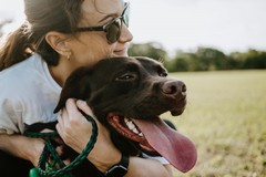 Vacanze con gli animali, i consigli di ENPA Barletta