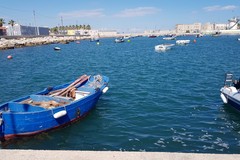 A rischio il finanziamento per la darsena dei pescatori del porto di Barletta