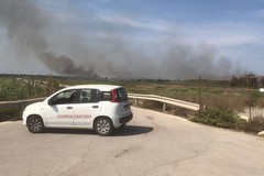 Secondo incendio a Barletta: brucia anche un'area sulla costa