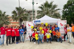 Avis e Barletta Sportiva insieme per la Giornata mondiale del donatore di sangue