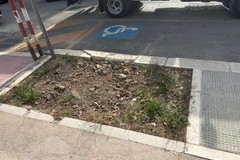 Il quartiere Medaglie d’Oro tra conche pericolose, alberi assenti e mezzi pesanti in transito