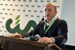 Crisi idrica nel Barese e nella Bat, CIA Levante: “Oliveti e rischio con lo stop irriguo”