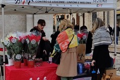 Tornano a Barletta le Stelle di Natale dell'AIL