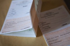 Referendum sulla Giustizia 2026, affluenza ore 12: a Barletta ha votato il 12,40%