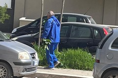 «Benvenuti negli orti sociali… spontanei della zona 167»